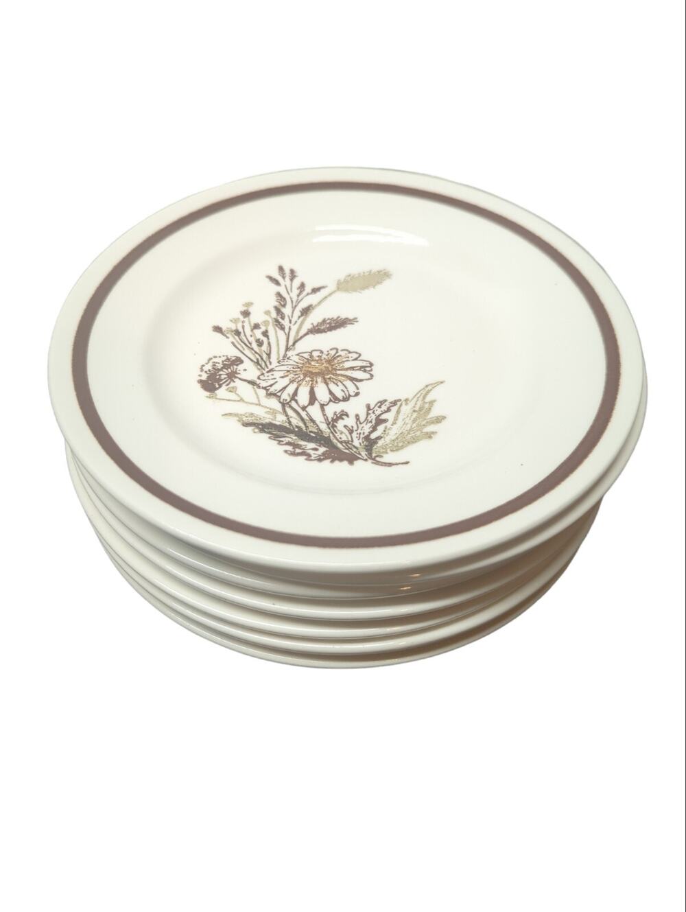 AUTUMN MIST Royal China Americana Set of 7 DESSERT BREAD Plates Daisies 6.5”